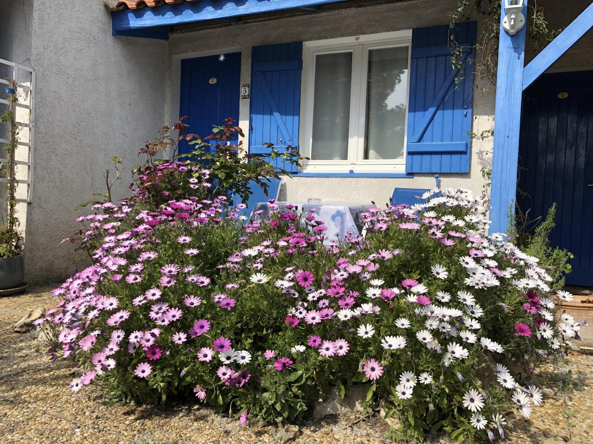 Hotel Des 4 Vents Aigues-Mortes Exterior foto